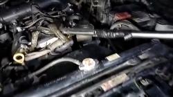 Ular Piton Muncul dari Dalam Kap Mobil Saat Pemiliknya Hendak Membeli Nasi Goreng di Palangka Raya