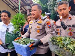 Nekat Tanam 110 Pohon Ganja Hidroponik di Rumah Kontrakan Jombang, Pria Ini Sudah Sempat Panen