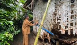 Viral Guru Honorer Lebak Tinggal di Gubuk Reyot, Pemkab Akhirnya Turun Tangan