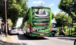 Bus Umum Bebas Melintas di Jalur Larangan Kota Madiun, Dishub: Kami Tak Punya Kewenangan Menindak