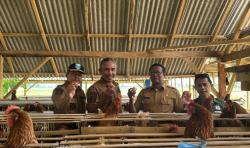 Ayam Petelur Jadi Andalan, Desa Jatiurip Luncurkan Jatiurip Farm