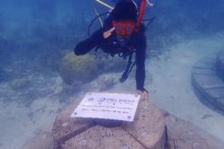 Teknologi Ramah Lingkungan Jadi Harapan Baru Nelayan Karimunjawa, Bisa Hidupkan Wisata Bawah Laut