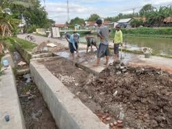 100 Hektare Sawah Terendam, Petani Jayakerta Gotong Royong Perbaiki Pintu Air Jebol
