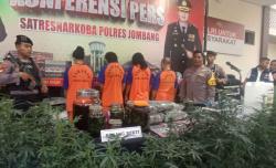 Peran 4 Tersangka Kasus Kebun Ganja di Rumah Kontrakan Jombang, Diotaki Residivis!