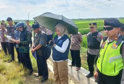 Dijaga Polisi, TNI Dan Satpol PP, PN Purwodadi Laksanakan Eksekusi Lahan di Desa Kandangrejo, Klambu