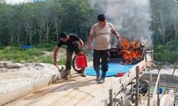 Kebun Karet milik Pemkab Kuansing Dijadikan 48 Lokasi Tambang Emas Ilegal