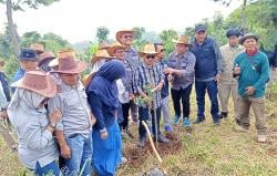 DPRD Tinjau Arboretum Arunika dan Tanam Pohon di Lereng Ciremai