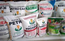 Revisi Aturan Subsidi Pupuk, Dorong Efisien dan Daya Saing