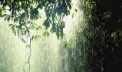 Tanggerang Selatan Diguyur Hujan Lebat, Ini Panduan Doa Orang Muslim