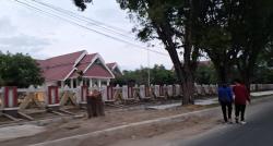 Misteri Penebangan Pohon di Jalan Prof M Yamin: Siapa yang Bertanggung Jawab?