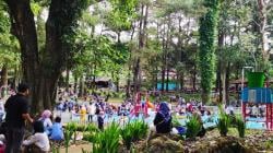 Woodland Jadi Magnet Libur Nataru, Wahana Seru hingga Nuansa Kekeluargaan Memikat Pengunjung