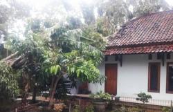 Angin Kencang Terjang Dua Desa di Kuningan, Rumah Rusak Tertimpa Pohon