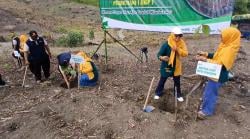 Peringati Hari Ibu, Ibu-Ibu Perhutani KPH Gundih Ajak Suami Tanam Pohon Cegah Banjir dan Longsor