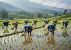Dari MOL hingga Pestisida Nabati, Inovasi Petani Bojonegoro Tingkatkan Hasil Panen