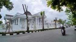 Antisipasi Cuaca Ekstrem, Bukittinggi Tebang Mahoni dan Tanam Tabebuya