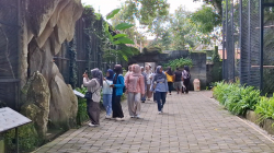 Jember Mini Zoo Diserbu Pengunjung hingga Antrean Panjang pada Libur Nataru