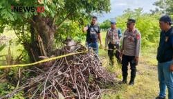 Polisi Selidiki Kasus Penemuan Bayi Perempuan di Kecamatan Laikang Takalar