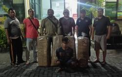 Curi Tembakau Rajang, Pria di Probolinggo Dibekuk Polsek Paiton