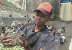 Tradisi Asatan Jadi Pesta Rakyat Berburu Ikan,  Ratusan Warga Tumpah Ruah di Bendungan Sampean Baru