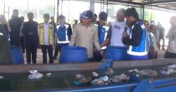 Menteri LH Ultimatum Pengelola Rest Area Tol: Kelola Sampah Mandiri atau Sanksi Pidana Menanti