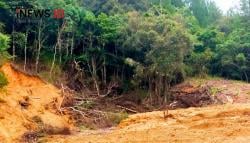 Kasus Ilegal Logging di Gowa, Kades dan Kadus Hingga Pegawai Kehutanan Diperiksa