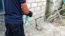 Kobra Hitam Masuk Rumah Saat Perayaan Natal di Palangka Raya, Damkar Evakuasi
