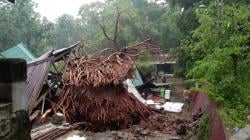 Hujan Deras Angin Kencang di Cirebon, Pohon Raksasa Tumbang Timpa Kuburan