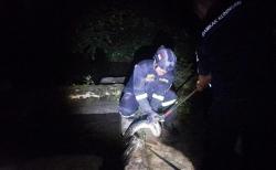 Sanca 4 Meter Mangsa Tiga Ekor Ayam Warga di Kuningan