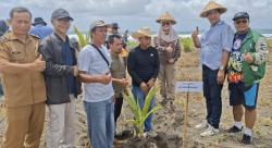 Bukan Omon-Omon! SPP Salip KDM, Reboisasi Terbesar Digelar di Pantai Pangandaran