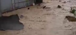 Viral Video Aspal Jalan Mengelupas karena Banjir di Cirebon, Cek Faktanya