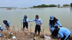 Perkuat Kepedulian Lingkungan, Siswa SMAN 1 Kaliwungu Tanam Ratusan Mangrove