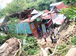 Dahan Pohon Tua Tumbang, Rumah Nelayan di Majene Rusak Parah