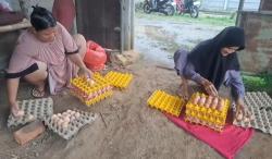 Harga Telur Naik, Warga Cisauk Pilih Telur Retak