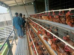 Tak Hanya Mengaji, Anak Panti di Surabaya Ini Belajar Bisnis Hidroponik Hingga Ayam Petelur