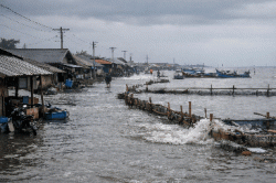 Banjir Rob Berpotensi Terjadi hingga 10 Januari 2026, Warga Pesisir Tegal dan Brebes Diminta Waspada