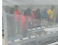 Pertanian Modern Masuk Kampung, Warga Kediri Belajar Budidaya Melon Hidroponik Berbasis Teknologi