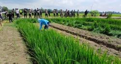 Kepala Dusun di Grobogan Jual Tanah Sewa ke Banyak Pembeli, PN Eksekusi Lahan