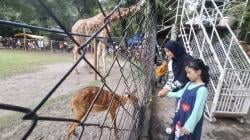 Awal Tahun 2026, Kebun Binatang Surabaya Ramai Dikunjungi Wisatawan