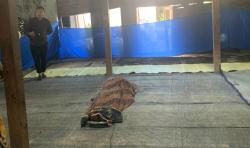 Temuan Mayat di Semak Belukar Gegerkan Warga Nguter, Tim SAR Sukoharjo Turun Evakuasi