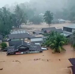 Habis Bencana Terbitlah PHK: Ribuan Pekerja Kayu di Tapteng Terancam Pengangguran Massal