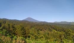 Pendaki Asal Magelang Hilang di Gunung Slamet, Pencarian Terkendala Cuaca Buruk