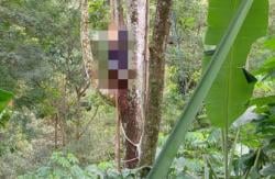 Seorang Pekerja Ditemukan Tewas Tersangkut di Pohon Durian Ngebel Ponorogo