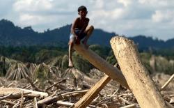 Update Jumlah Korban Meninggal Bencana Sumatera per 3 Januari 2026 Mencapai 1.167 Jiwa