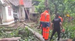 Hujan dan Angin Kencang Terjang Pandeglang, Rumah Warga Rusak Tertimpa Pohon Tumbang