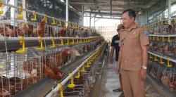 Sambut 2026, Desa Sumbercenteng Fokus Majukan Desa Lewat Program Ketahanan Pangan