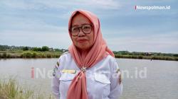 Tambak Pemda Mandek, PAD Tak Tercapai: DPRD Polman Bongkar Borok UPTD BBIAP Bulubawang