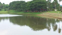 Sejarah Situ Patinggi di Depok Terancam Lenyap, Pengunjung Sebut Namanya Danau Emeralda