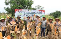 Blok Sukatani Indramayu Jadi Lokasi Panen Raya Jagung Serentak Polri 2026