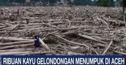Usai Banjir Bandang, Warga Aceh Tamiang Keluhkan Ribuan Kayu Gelondongan Masih Menumpuk