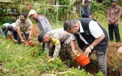 Dapur SPPG 3T: Solusi Gizi dan Ekonomi untuk Desa Dombu